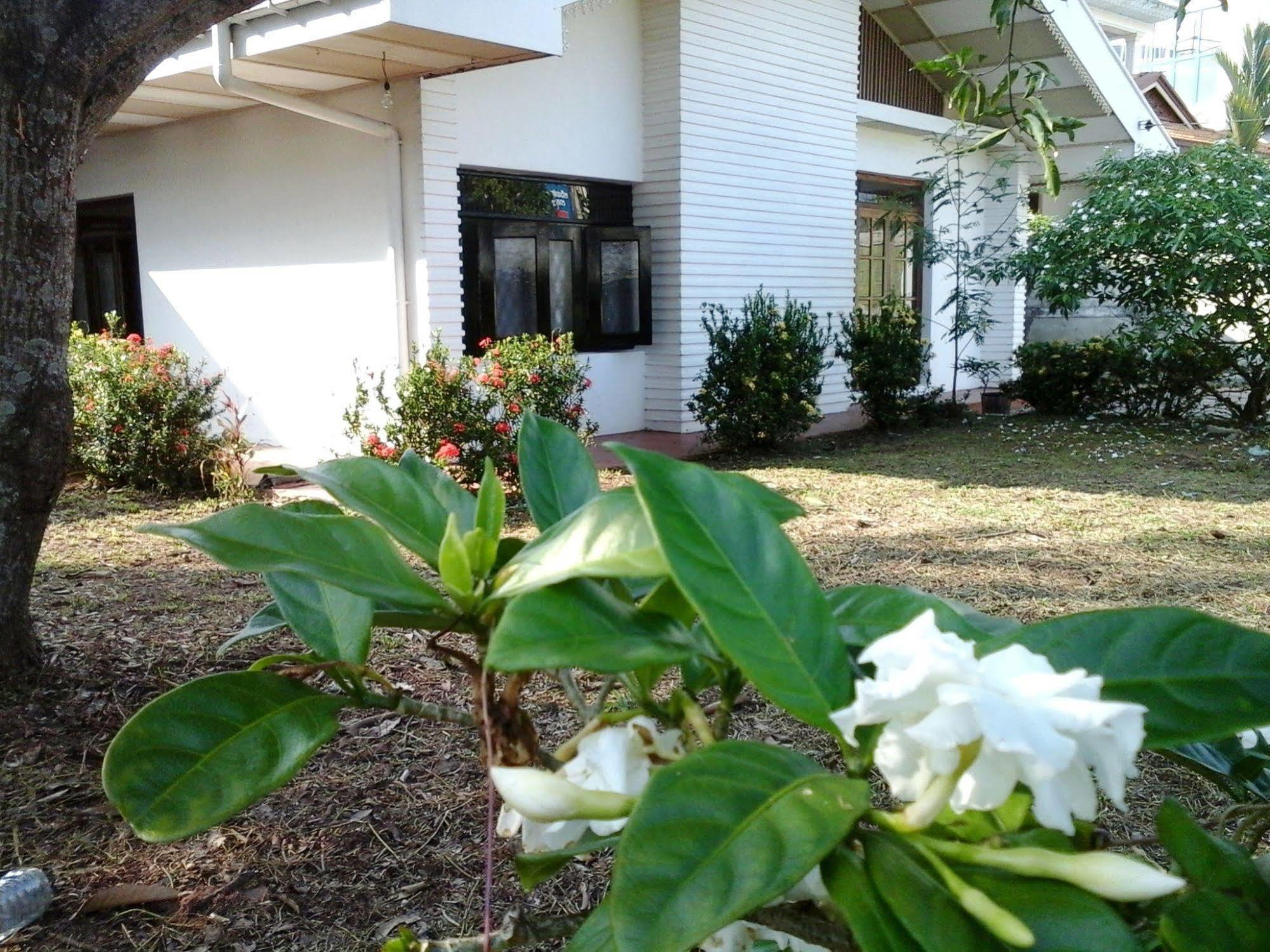 Mazz Homestay Negombo Exterior foto